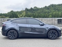 Tesla Model Y Edition - ფოტო 4