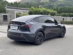 Tesla Model Y Edition - ფოტო 5