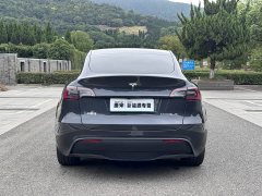 Tesla Model Y Edition - ფოტო 6
