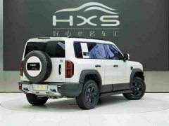 Land Rover 5 Edition - ფოტო 4