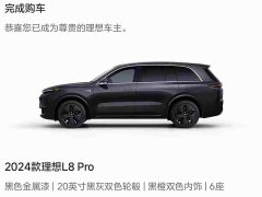 Li Auto L8 Pro - ფოტო 6