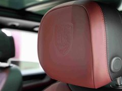 Porsche Cayenne 3.0T - ფოტო 20