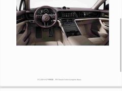 Porsche Panamera 2.9T - ფოტო 12