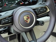 Porsche Panamera 2.9T - ფოტო 19
