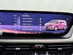 Zeekr 2.0T Edition - ფოტო 17