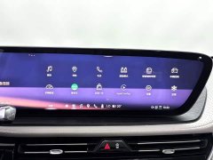 Zeekr 2.0T Edition - ფოტო 18