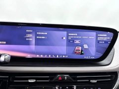 Zeekr 2.0T Edition - ფოტო 20