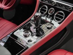 4.0T GT V8 - ფოტო 16