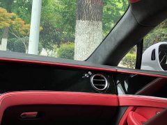 4.0T GT V8 - ფოტო 19