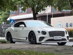 4.0T GT V8 - ფოტო 3