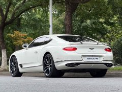 4.0T GT V8 - ფოტო 6