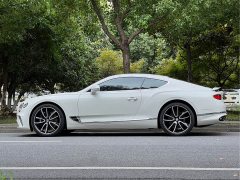 4.0T GT V8 - ფოტო 7