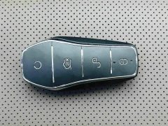 BYD DM-i 121KM Version - ფოტო 13