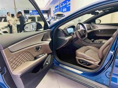 BYD DM-i 121KM Version - ფოტო 20