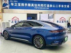BYD DM-i 121KM Version - ფოტო 7