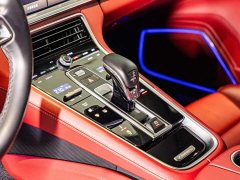 Porsche Panamera Edition 2.9T - ფოტო 14