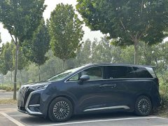 Denza D9 EV 600 AWD Version - ფოტო 1