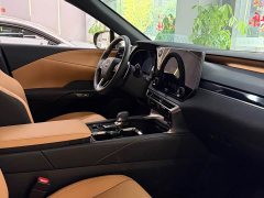 Lexus RX 300 AWD Edition - ფოტო 17