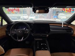 Lexus RX 300 AWD Edition - ფოტო 9