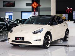 Tesla Model Y Edition - ფოტო 1