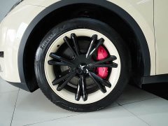 Tesla Model Y Edition - ფოტო 12