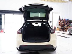 Tesla Model Y Edition - ფოტო 13