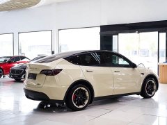 Tesla Model Y Edition - ფოტო 14