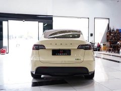 Tesla Model Y Edition - ფოტო 15