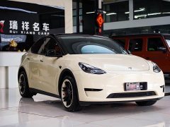 Tesla Model Y Edition - ფოტო 16