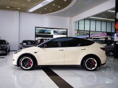 Tesla Model Y Edition - ფოტო 3