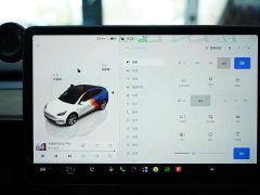 Tesla Model Y Edition - ფოტო 7