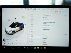 Tesla Model Y Edition - ფოტო 8