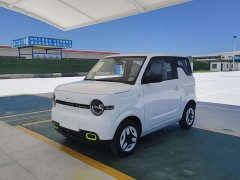 BYD mini 210km - ფოტო 1