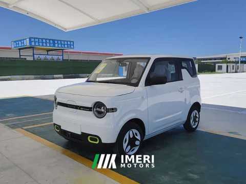 2025 BYD mini 210km - ავტომობილი ჩინეთიდან
