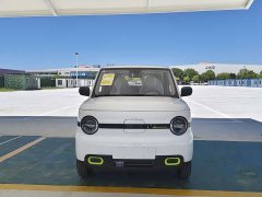 BYD mini 210km - ფოტო 2