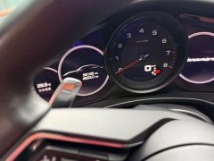 Porsche Panamera 4 Edition 2.9T - ფოტო 5