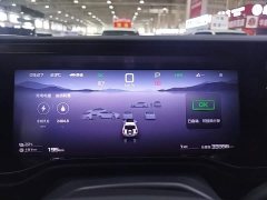 Li Auto 5 Edition - ფოტო 12