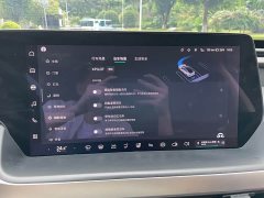 Xpeng P7 586E - ფოტო 18