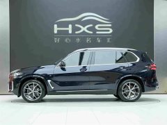 BMW X5 xDrive 30Li Deluxe VersionM - ფოტო 3