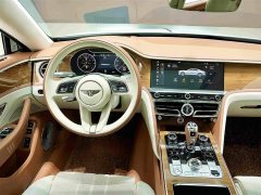 Mercedes-Benz PHEV 2.9T V6 Hybrid - ფოტო 15