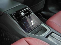 Porsche Panamera 2.9T - ფოტო 19