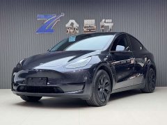 Tesla Model Y Edition - ფოტო 1