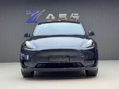 Tesla Model Y Edition - ფოტო 2