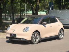 Ora 400kmStandard Range Edition - ფოტო 1