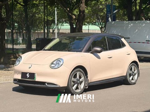 2021 Ora 400kmStandard Range Edition - ავტომობილი ჩინეთიდან