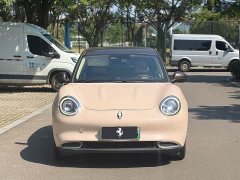 Ora 400kmStandard Range Edition - ფოტო 2