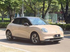 Ora 400kmStandard Range Edition - ფოტო 3