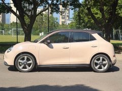 Ora 400kmStandard Range Edition - ფოტო 4