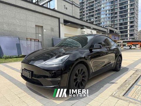2021 Tesla Model Y Standard Range Edition - ავტომობილი ჩინეთიდან