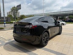Tesla Model Y Standard Range Edition - ფოტო 12